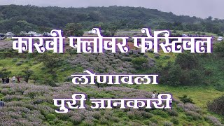 Karvi Flower Festival  Lonavala  Dronshot  DJI  Insta360  XL6  Documentary [upl. by Gwendolen104]