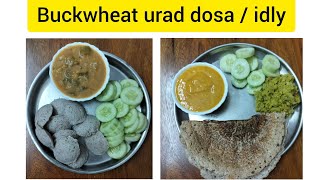 Buckwheat groats idly dosa fermented [upl. by Simsar]