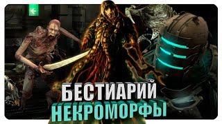 Бестиарий  Вселенная Dead Space Некроморфы Финал [upl. by Pavlish19]