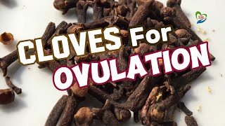 How To Use Cloves To Boost Ovulation [upl. by Hortense]