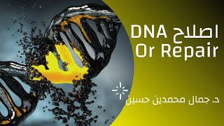 Repair of DNA إصلاح الدنا [upl. by Lemrahc449]