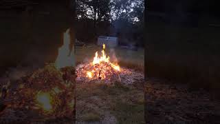 Bonfire and Whippoorwill Song Enjoy the Ambience [upl. by Hardan]