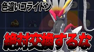 【ポケモンSV】色違いコライドンとは絶対に交換するな【スカーレットバイオレット】 [upl. by Mines]