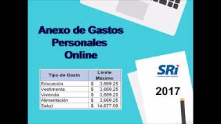 ANEXO DE GASTOS PERSONALES ONLINE 2018 [upl. by Joon]