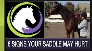 Top 6 Signs Your Saddle may be Hurting Your Horse [upl. by Wixted]