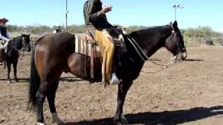 Buck Brannaman Clinic Best Ride Hes Seen [upl. by Beatrix]