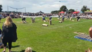 2017 Thorpdale Potato Festival  Potato Picking Competition [upl. by Jansson]