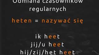 ✅ Niderlandzki dla początkujących ✅ 10 ważnych czasowników  odmiana [upl. by Aruol]