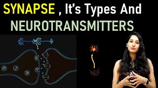 Synapse its types and Neurotransmitter I Nervous system I Synaptic transmission I How synapse work [upl. by Nellek]