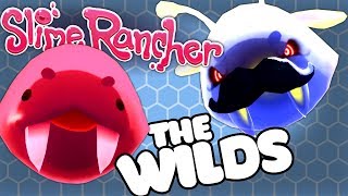 THE WILD UPGRADES  Slime Rancher Ogdens Wild Update Gameplay 2 [upl. by Sokin]