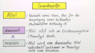 Erbgänge dominantrezessiv intermediär und kodominant  Biologie  Genetik [upl. by Chemesh]