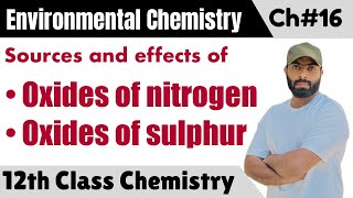 L4 Oxides of Nitrogen and sulphur  Sources of primary pollutants  ch16 chemistry class 12 [upl. by Helgeson]