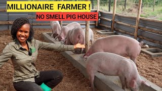 How Many PIGS To START A Simple Pig Farm Business  2024 Farm Routine [upl. by Ettellocin404]