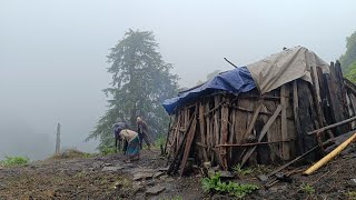 Nomadic Life of Mountain Shepherd Life in Rainy Day  Nepal Organic Food Cooking Rela Nepali Life [upl. by Daisie551]