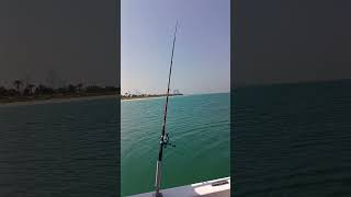 Fishing in lulu island Abu Dhabi [upl. by Sanjiv481]