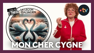 La leçon dalsacien  quotmon cher cygnequot [upl. by Eisele897]