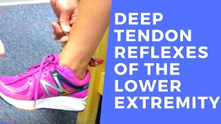 Deep Tendon Reflexes of the Lower Extremities [upl. by Arondell]