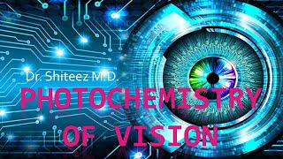 Photochemistry Of Vision [upl. by Lavery227]