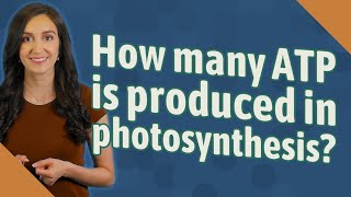 How many ATP is produced in photosynthesis [upl. by Gnol]