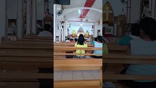 Homily Input by FR BEVIN B [upl. by Ahsimek]