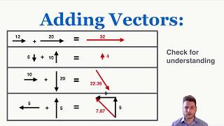 Labeling Vectors and Adding Vectors Using the Tip to Tail Method  IB Physics [upl. by Miharba]