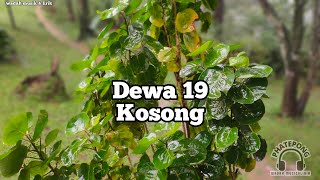 Kosong  Dewa 19wadah musik amp lirikPhatepong [upl. by Llehsim]