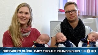 DREIFACHES GLÜCK  BABY TRIO AUS BRANDENBURG [upl. by Pokorny288]