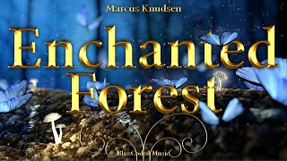 BlissCoded Music  Enchanted Forest by Marcus Knudsen [upl. by Nodla]