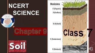 NCERT SCIENCE CLASS 7 CHAPTER 9 SOIL FOR UPSC IAS PRE MAINSUPPCSSSC IN HINDI [upl. by Om654]