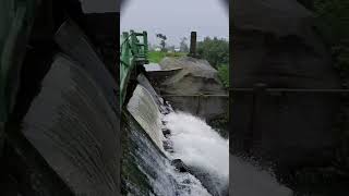 Mawsynram nature naturephotographylovers trending mawsynram water reel [upl. by Jadd221]