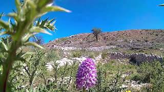 Montagna di Ramacca [upl. by Sauers]