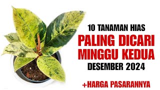 10 Tanaman Hias Paling dicari di Minggu Kedua Desember 2024 [upl. by Kakalina]