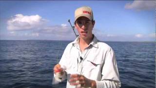 How to use  Rapala CD Magnum [upl. by Wake]