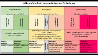 Salutogenese und Homotoxikologie [upl. by Hnah]