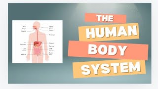 the human body system 👅👁️ 👂 👃 🗣️ fully explained its several systems too [upl. by Asiilanna]