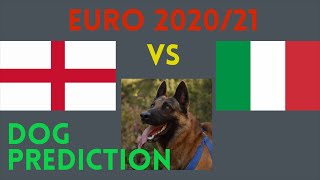 Italy vs England FINAL The two best teams at Euro 2020 dog prediction [upl. by Derinna]