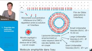 LES PROPRIÉTÉS DES TENSIOACTIFS ET LEURS STRUCTURES EN VOLUME [upl. by Brietta337]