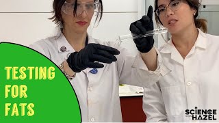 Food Tests How To Test For Fats  Lipids  Biology Practicals [upl. by Enyleve]