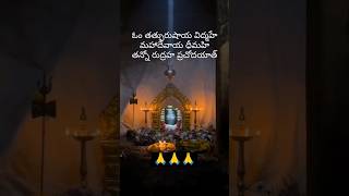 Om Namah Shivaya🙏🙏🙏shorts ytshorts devotional god mantra siva om shortsfeed rshometips [upl. by Ilellan]