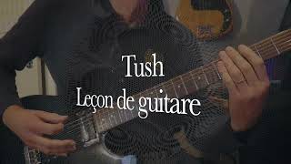 Tushle riffLeçon de guitare [upl. by Cerveny]