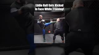 Eddie Hall Gets Kicked In Face While Training mma [upl. by Stichter]