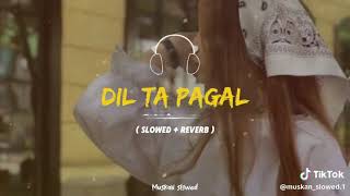 DIL TA PAGAL HA SLOWED REVERB 🎵 NASIBO LAL BEST SONG💯 [upl. by Atile512]