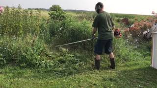 Cutting HUGE Weeds With Echo SRM225 [upl. by Bortz493]