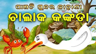 5 Special Story  Odia moral Story  Odia gapa  Suna kuradhi  Odia story  Squirrel Animation [upl. by Nohshan]