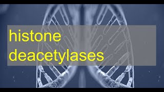 Histone Deacetylase HDAC Activity Assay [upl. by Saidnac163]