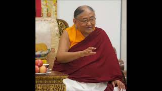 His Holiness the Sakya Trichen On Abstaining from Nonvirtuous Deeds” sakya sakyapa sakyatrizin [upl. by Ardnic]