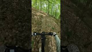 EBike MTB POV [upl. by Vikki806]