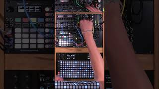 After Hapax we’ve just started working on Hermod tutorials 🤩 hapax squarp hermodplus eurorack [upl. by Namlas]