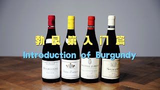 勃艮第产区入门介绍 Introduction of Burgundy [upl. by Allenad]