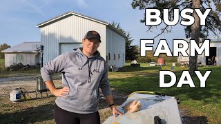 Busy Day of Farm Work  Family Homestead Channel  Chickens Garden Turkeys Eggs Ep 66 [upl. by Ytram]